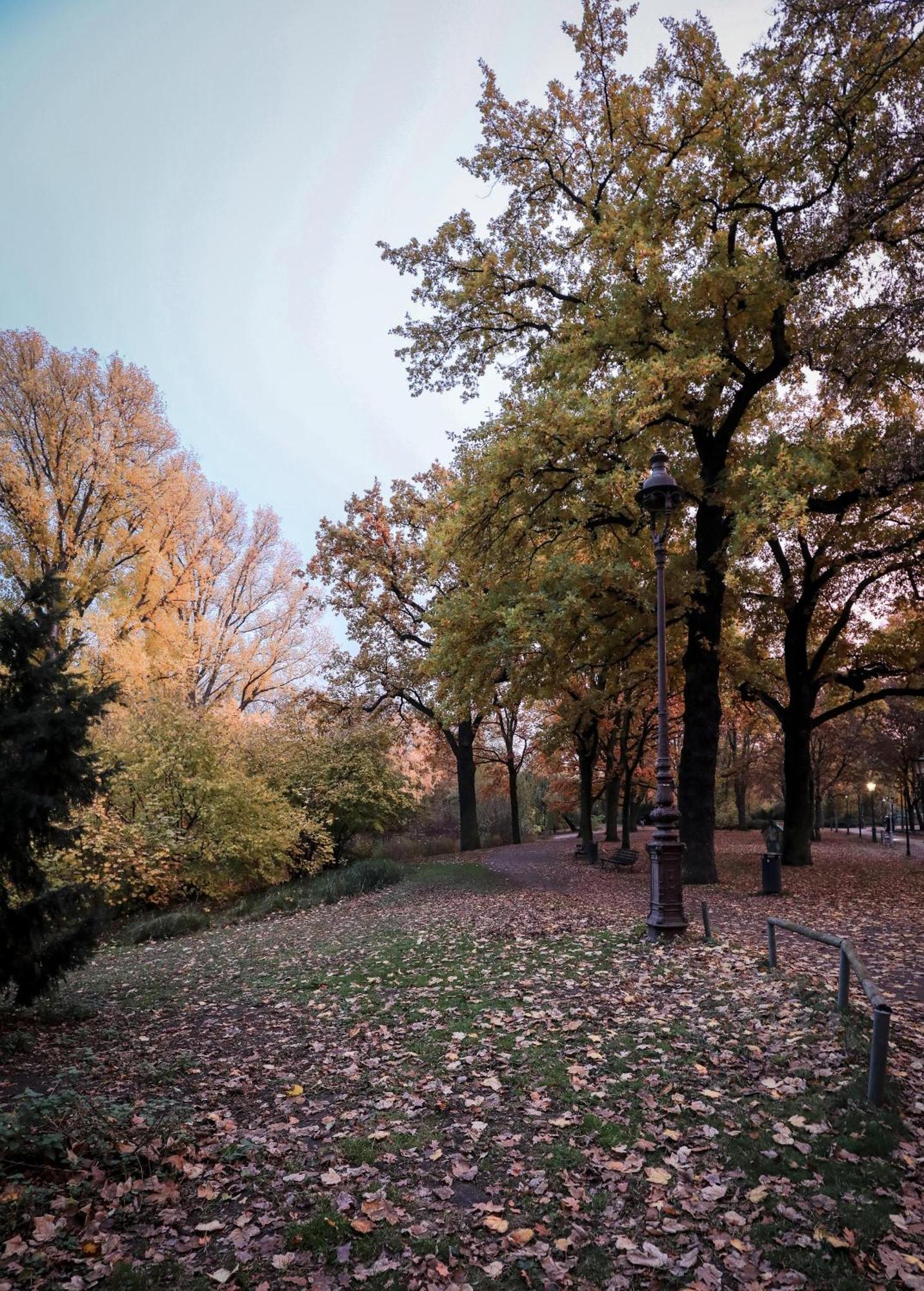 Kpm Hotel & Residences Berlín Exteriér fotografie Autumn in Central Park